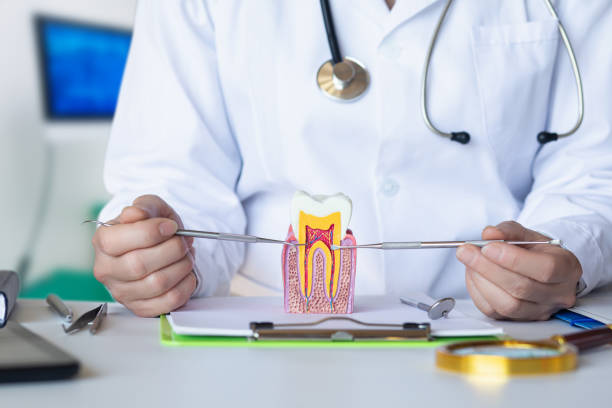 Best Emergency Root Canal Treatment in Branson, MO
